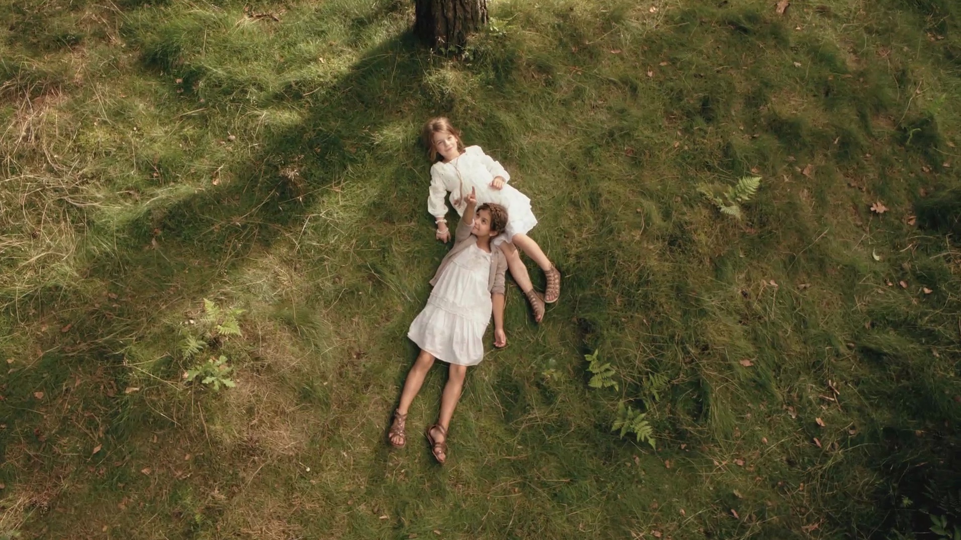 NATUREFUND  
DAY IN THE WOOD