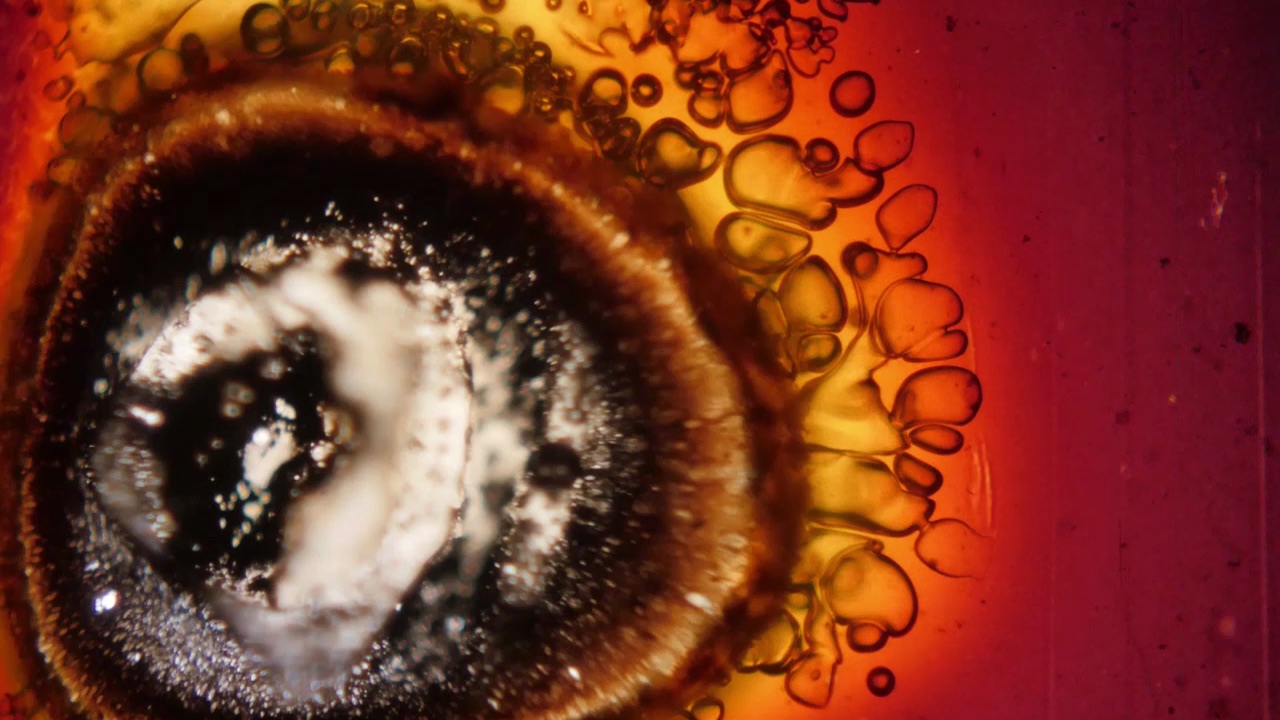 STIMMING AND LAMBERT 
TRAUERWEIDE